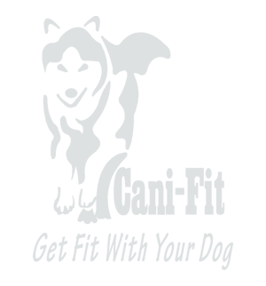 Cani Fit Decal
